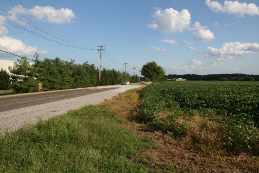 Name: IMG_6415.jpg
Views: 2109
Size: 85.8 KB